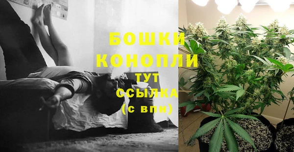 стаф Сосновый Бор