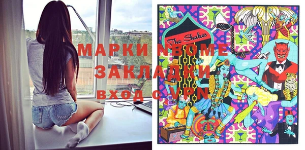 стаф Сосновый Бор
