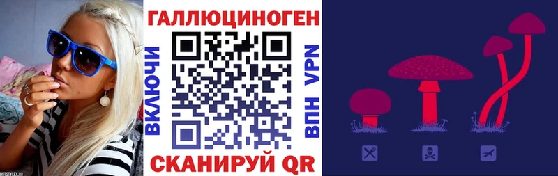 сколько стоит  Биробиджан  Псилоцибиновые грибы Cubensis 